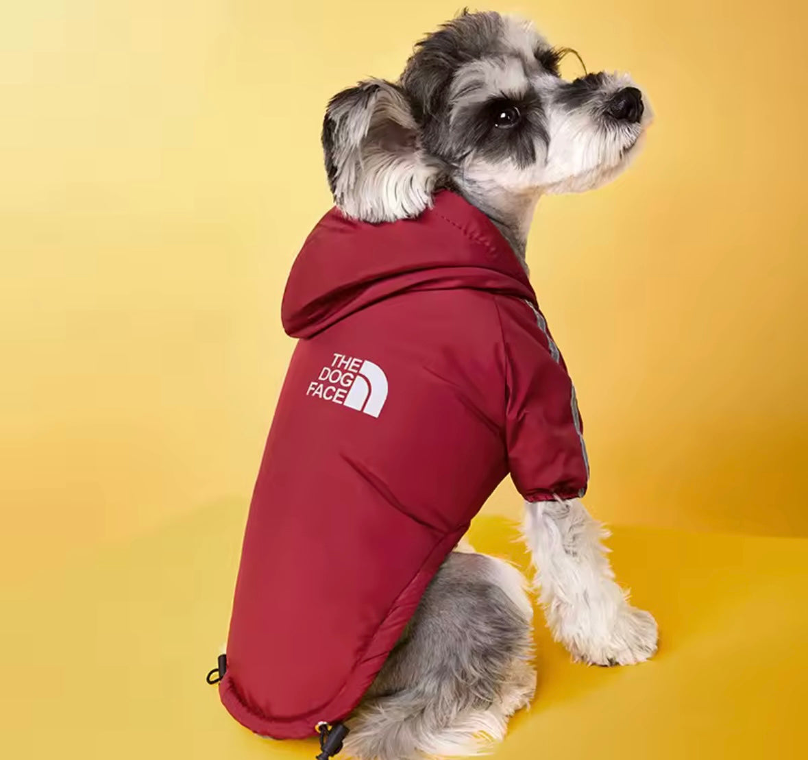 PawShield Dog Raincoat