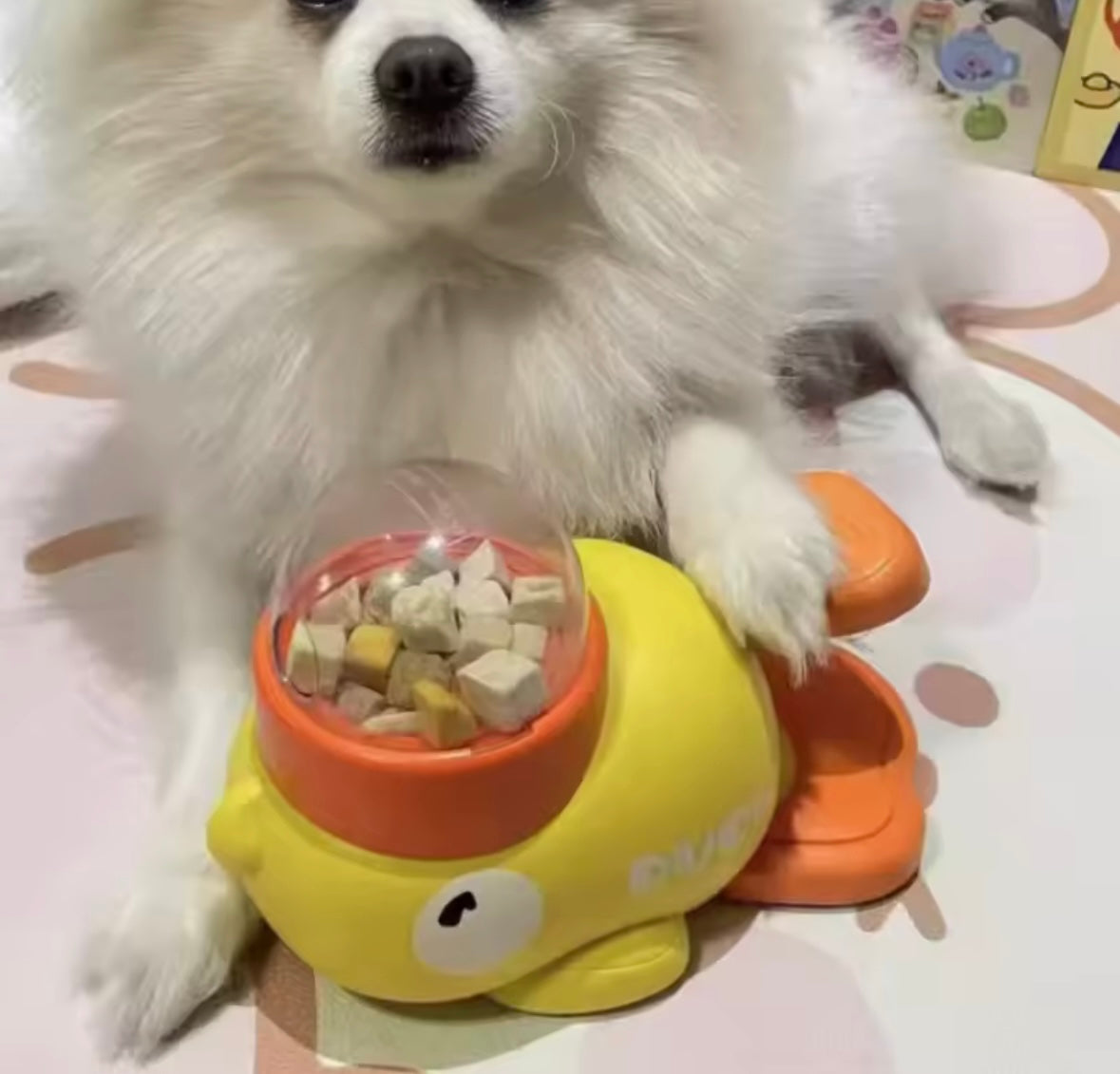 DuckFeed Dog Toy