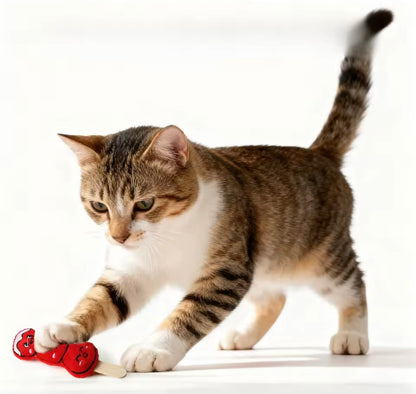 KittyFun Toy Pack