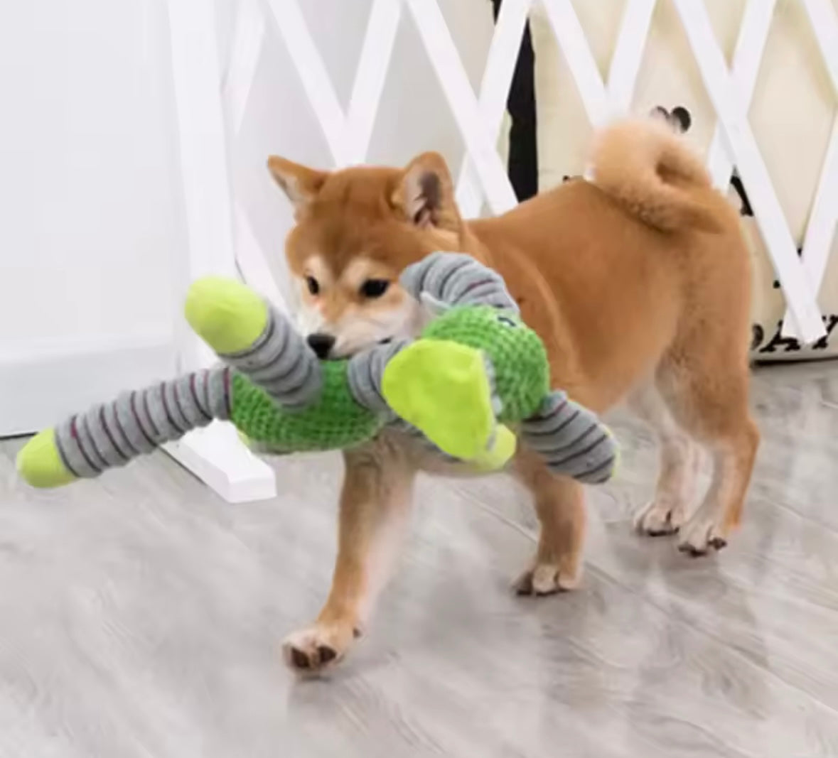 TitanPaw Squeaky Plush Dog Toy