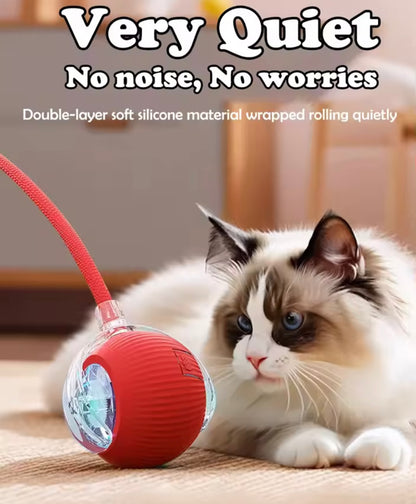 PawBall Smart Pet Toy