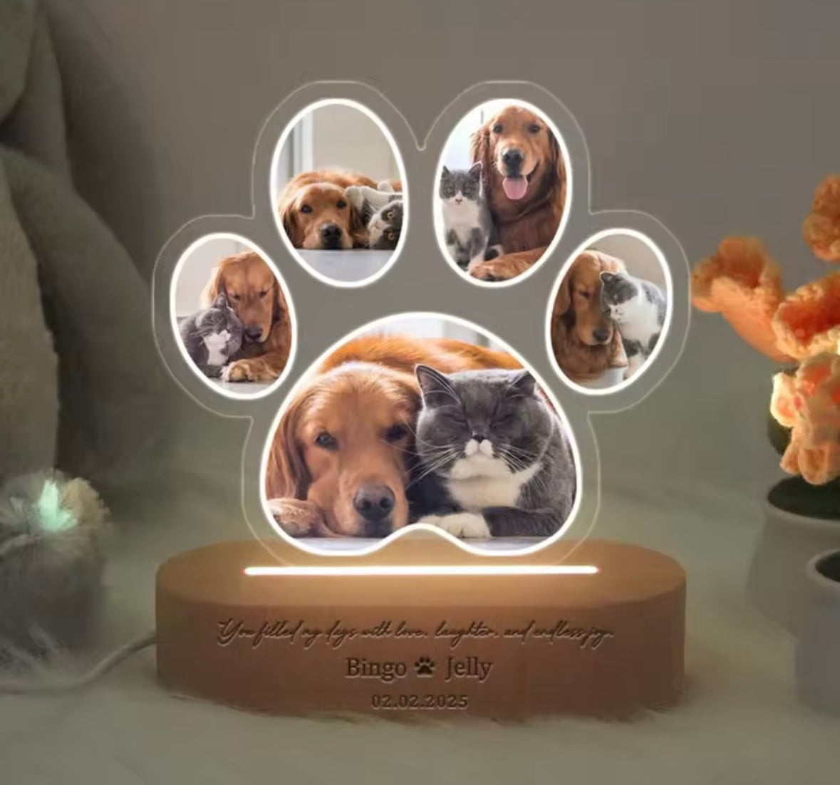 PetGlow LED Night Lamp