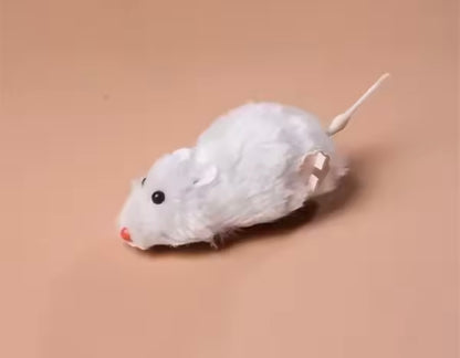 ChaseMouse Cat Toy