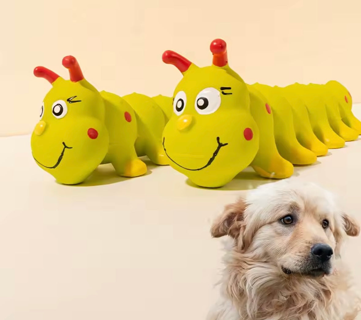 Squeaky Worm Dog Toy