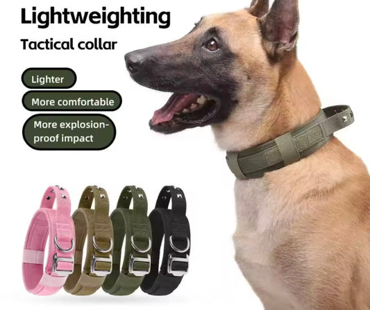 PawSpace Comfort Collar