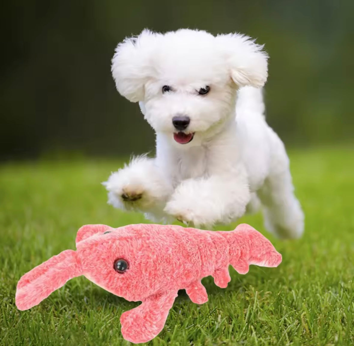 JumpyPaws Shrimp Toy