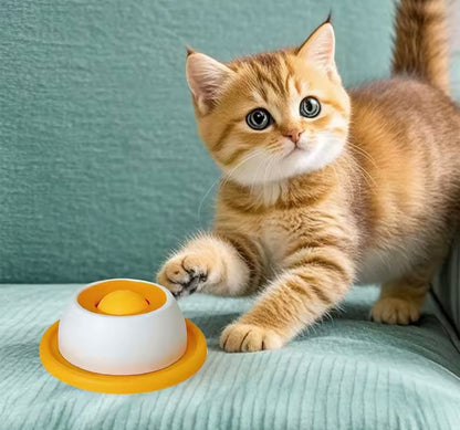 SlowPaws Feeder