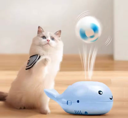 WhaleSpin Cat Toy
