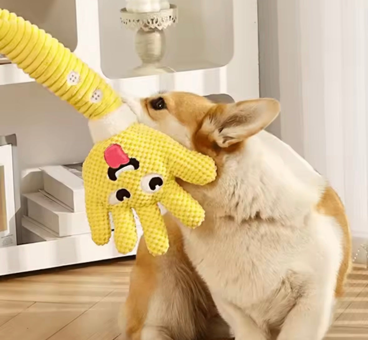 PupSqueak Plush Dog Toy