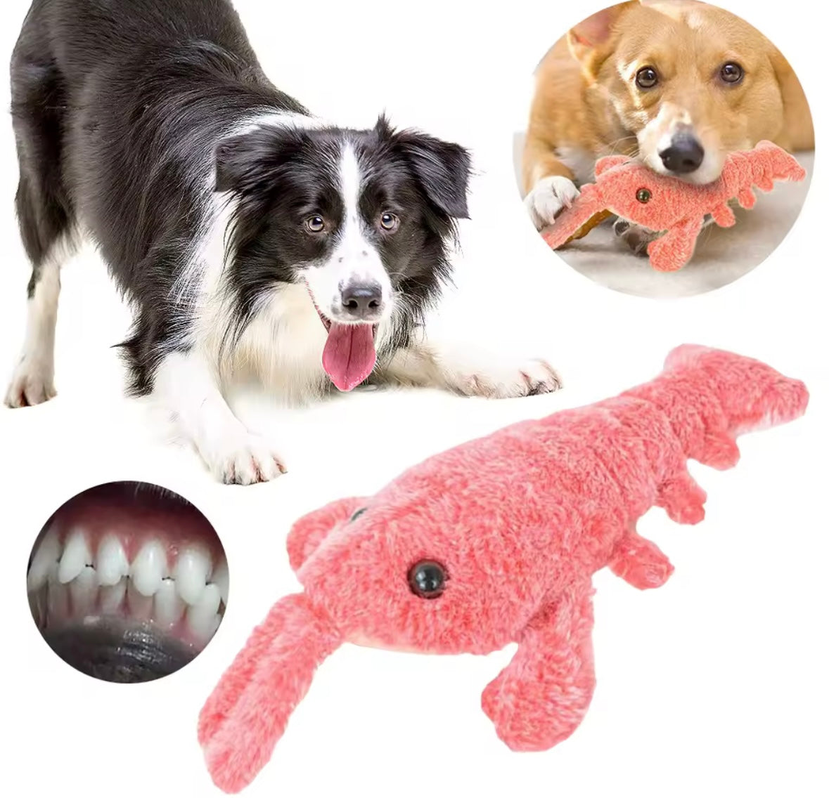 JumpyPaws Shrimp Toy