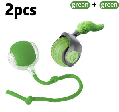 PawBall Smart Pet Toy