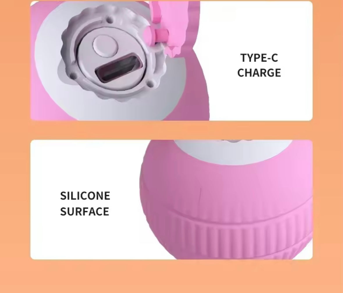 PawBall Smart Pet Toy