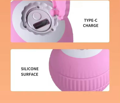 PawBall Smart Pet Toy