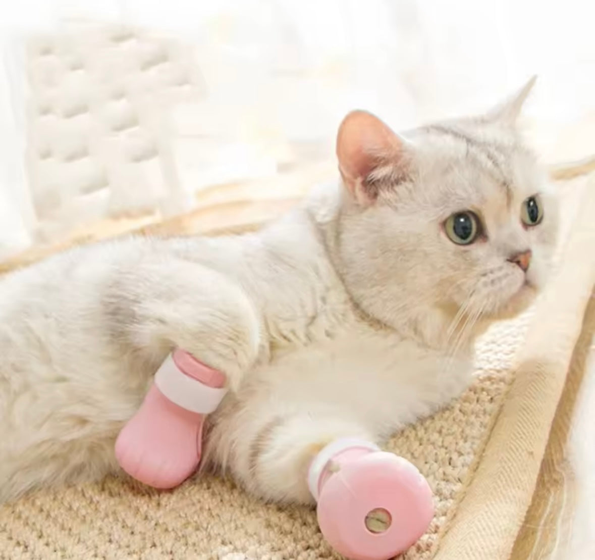 PawGuard Grooming Boots