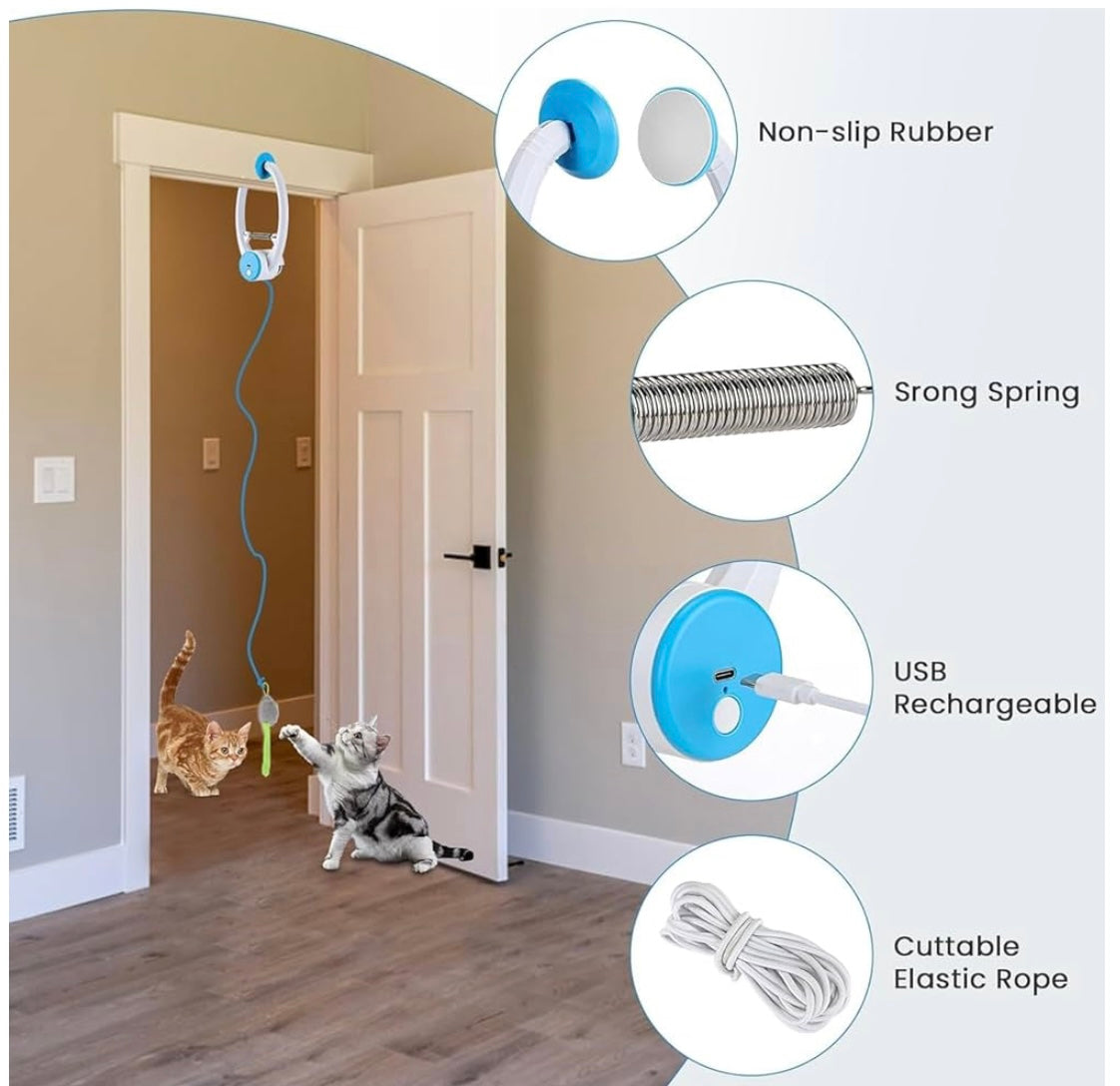 DoorPlay Cat Toy
