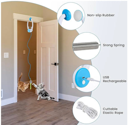 DoorPlay Cat Toy