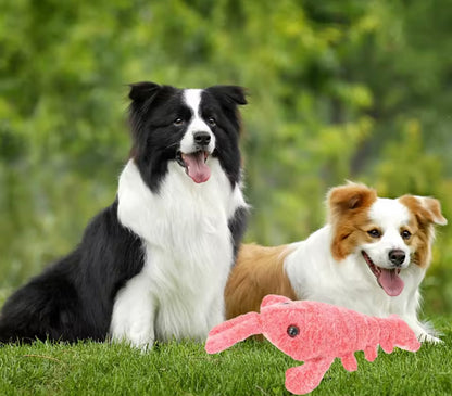 JumpyPaws Shrimp Toy