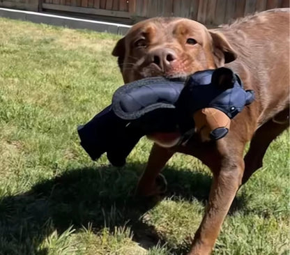 BearBite Extreme Squeaky Dog Toy