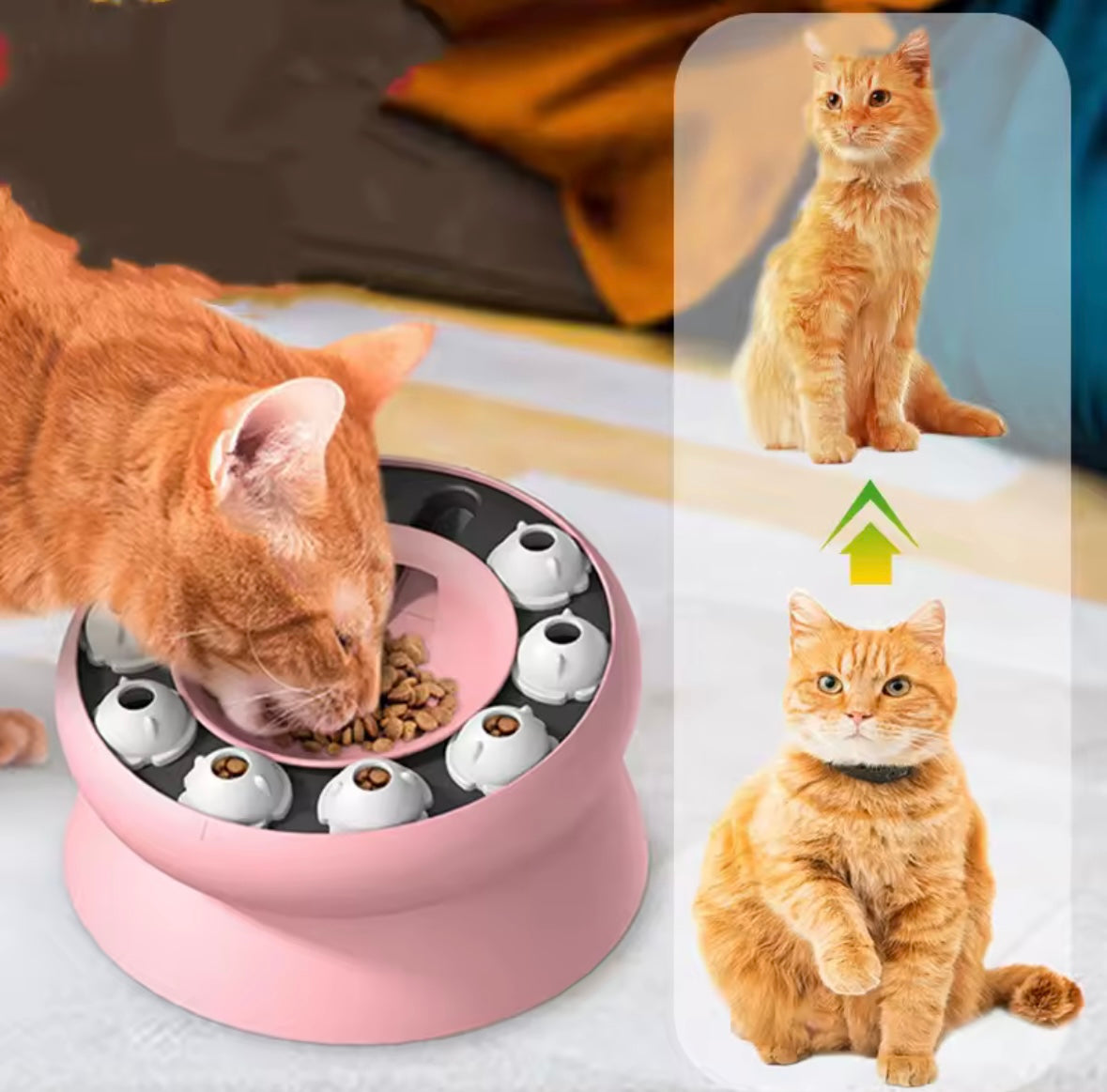 PurrBrain Slow Feeder
