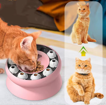 PurrBrain Slow Feeder