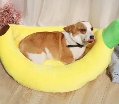 Veggie Cozy Pet Bed
