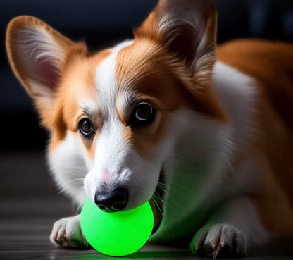 GlowBite Dog Chew Balls