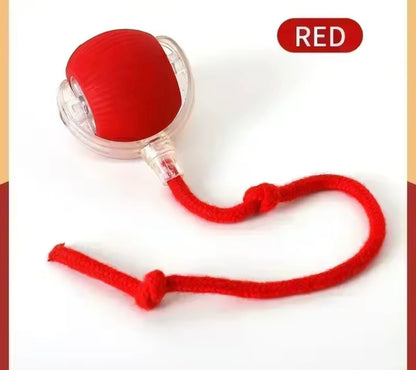 PawBall Smart Pet Toy