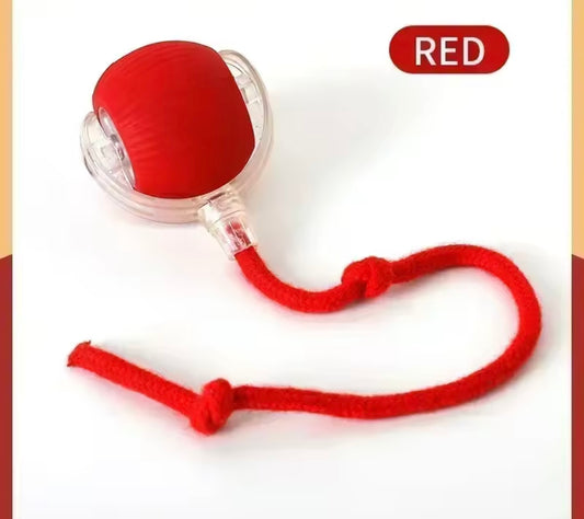 PawBall Smart Pet Toy