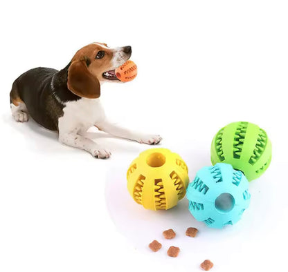 BiteFeast Dental Chew Toy