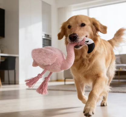 FlaminGoPlay Cat Toy