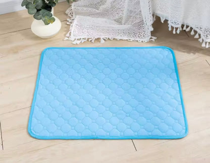 PawSoft Training Pad
