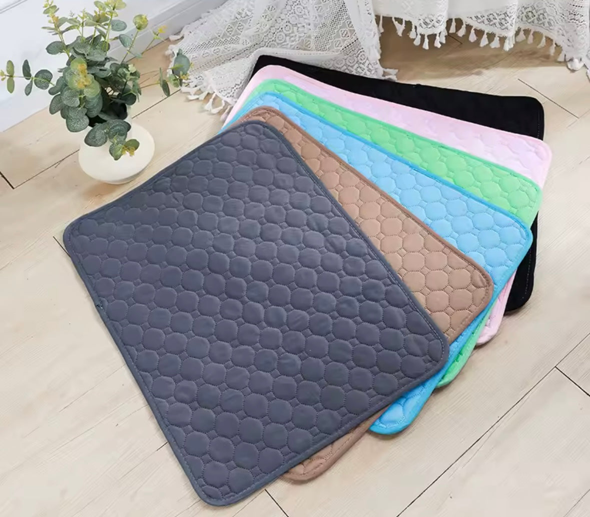 PawSoft Training Pad