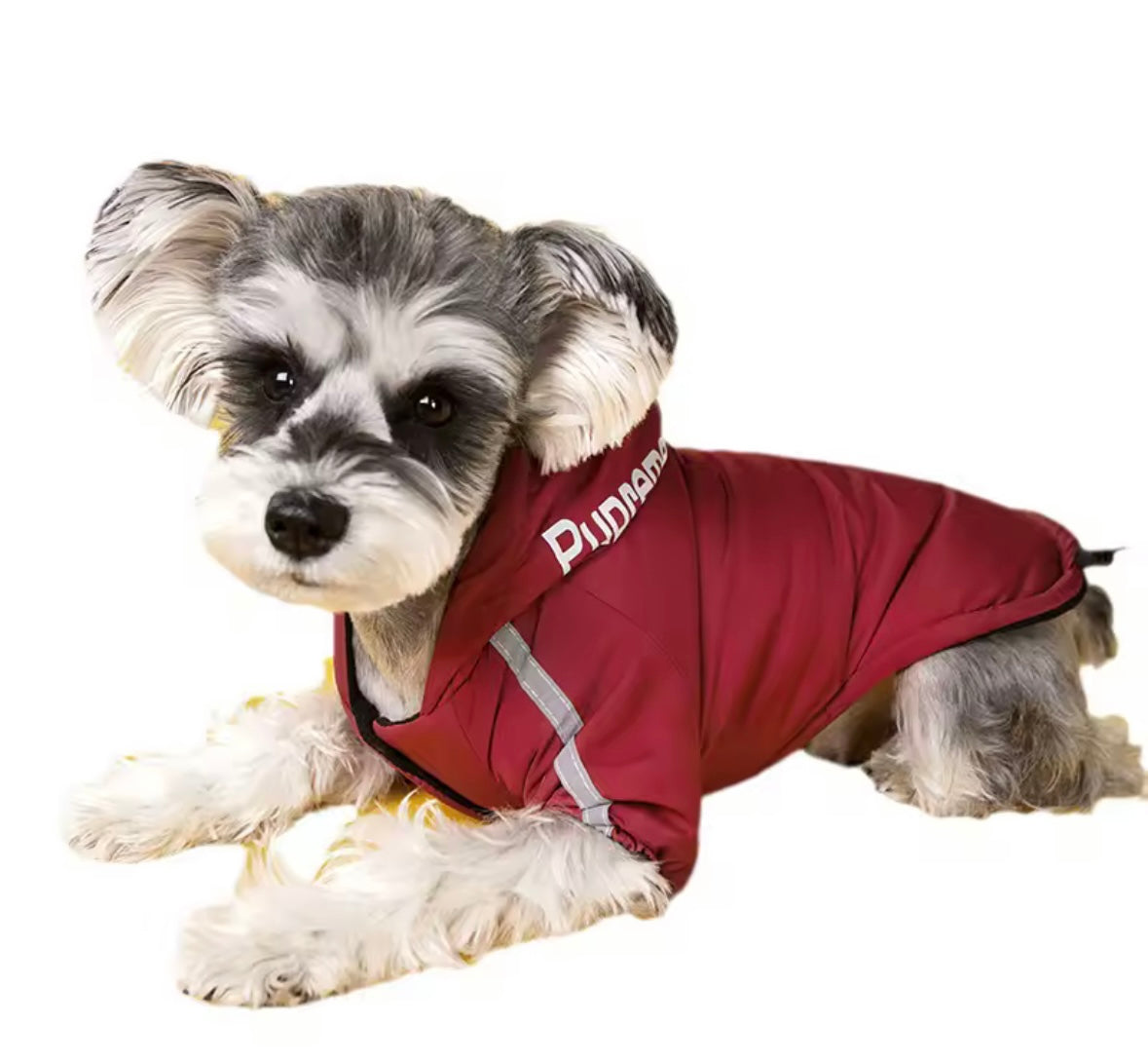 PawShield Dog Raincoat