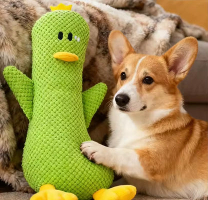 QuackBuddy Duck Toy