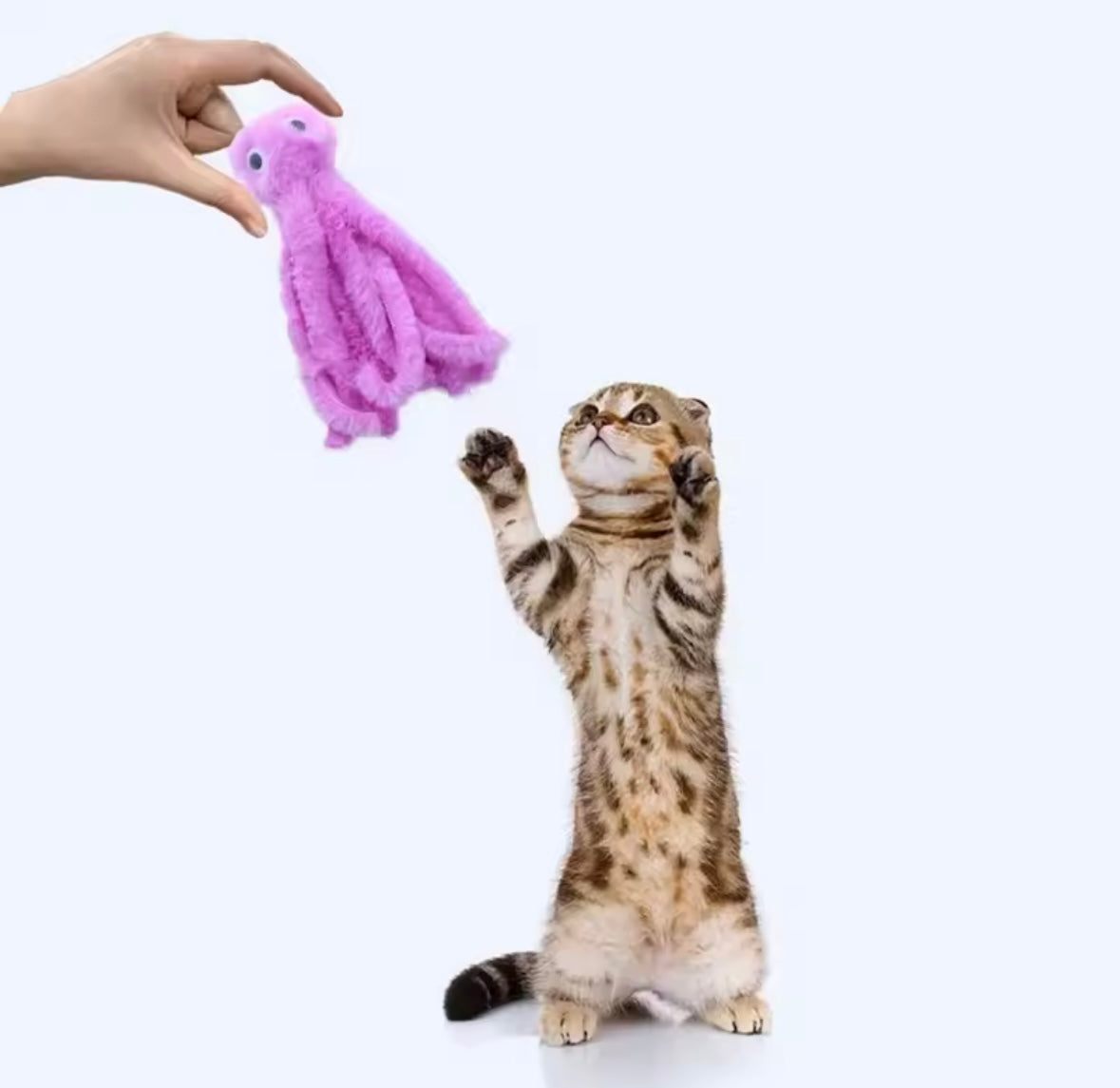 OctoPaws Cat Toy