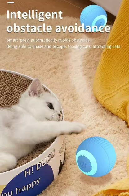 PawBall Smart Pet Toy