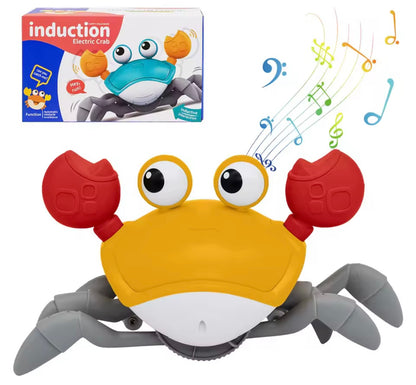 CrabbyChew Toy