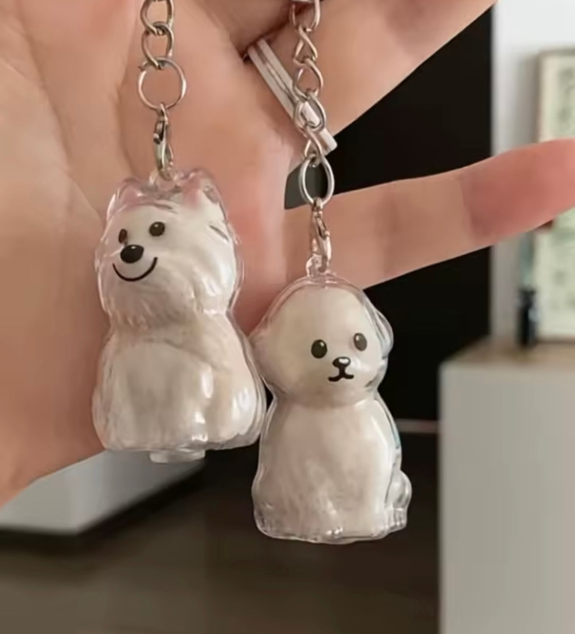 PawMem Fur Keepsake