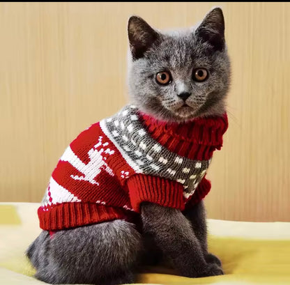 FelisCogito Sweater