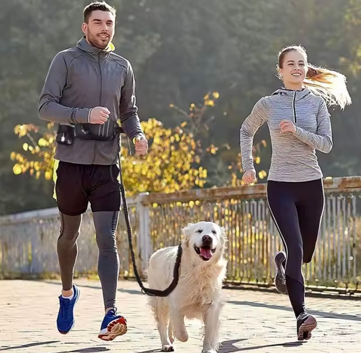 WaistLeash Retractable Dog Leash