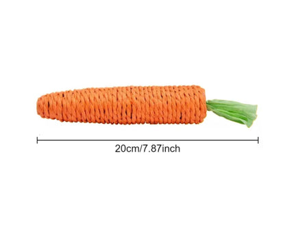 CarrotPlay Cat Toy