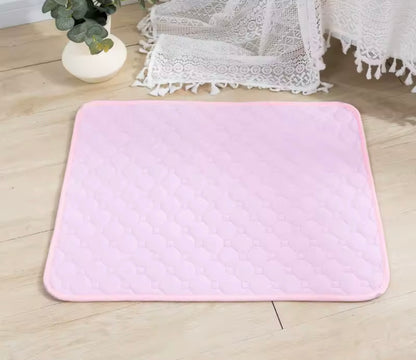 PawSoft Training Pad