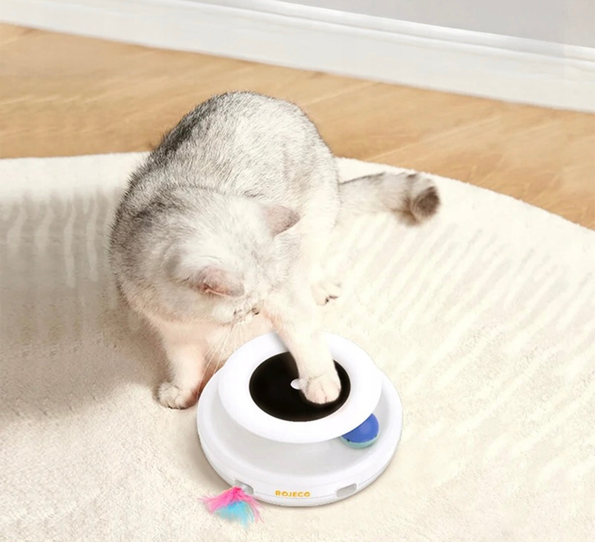PurrSpin Interactive Ball