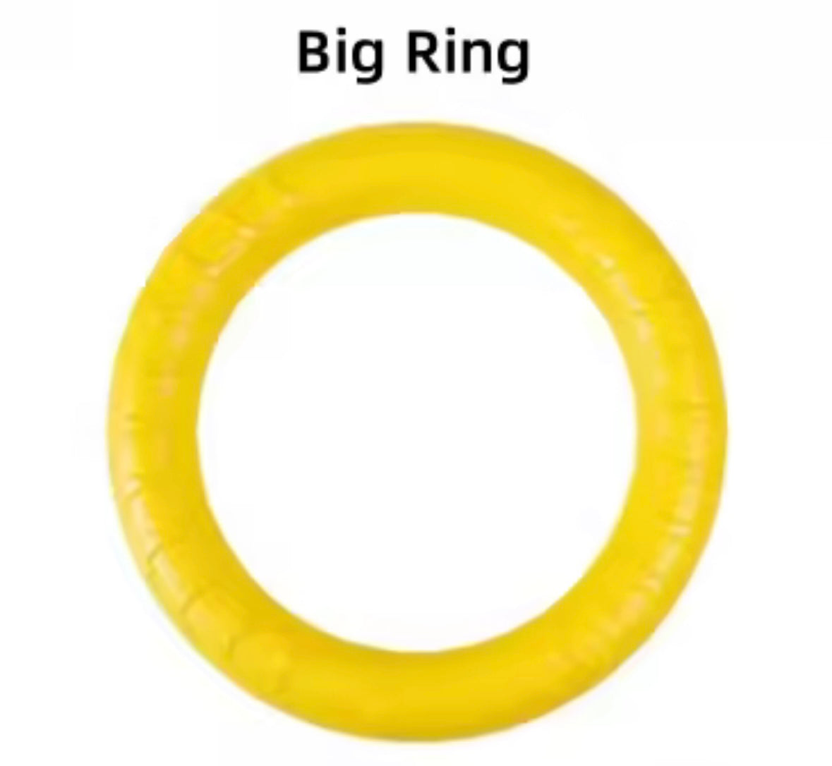 AquaBite Dog Toy