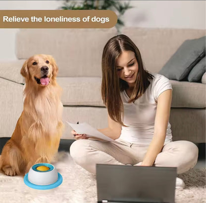 SlowPaws Feeder
