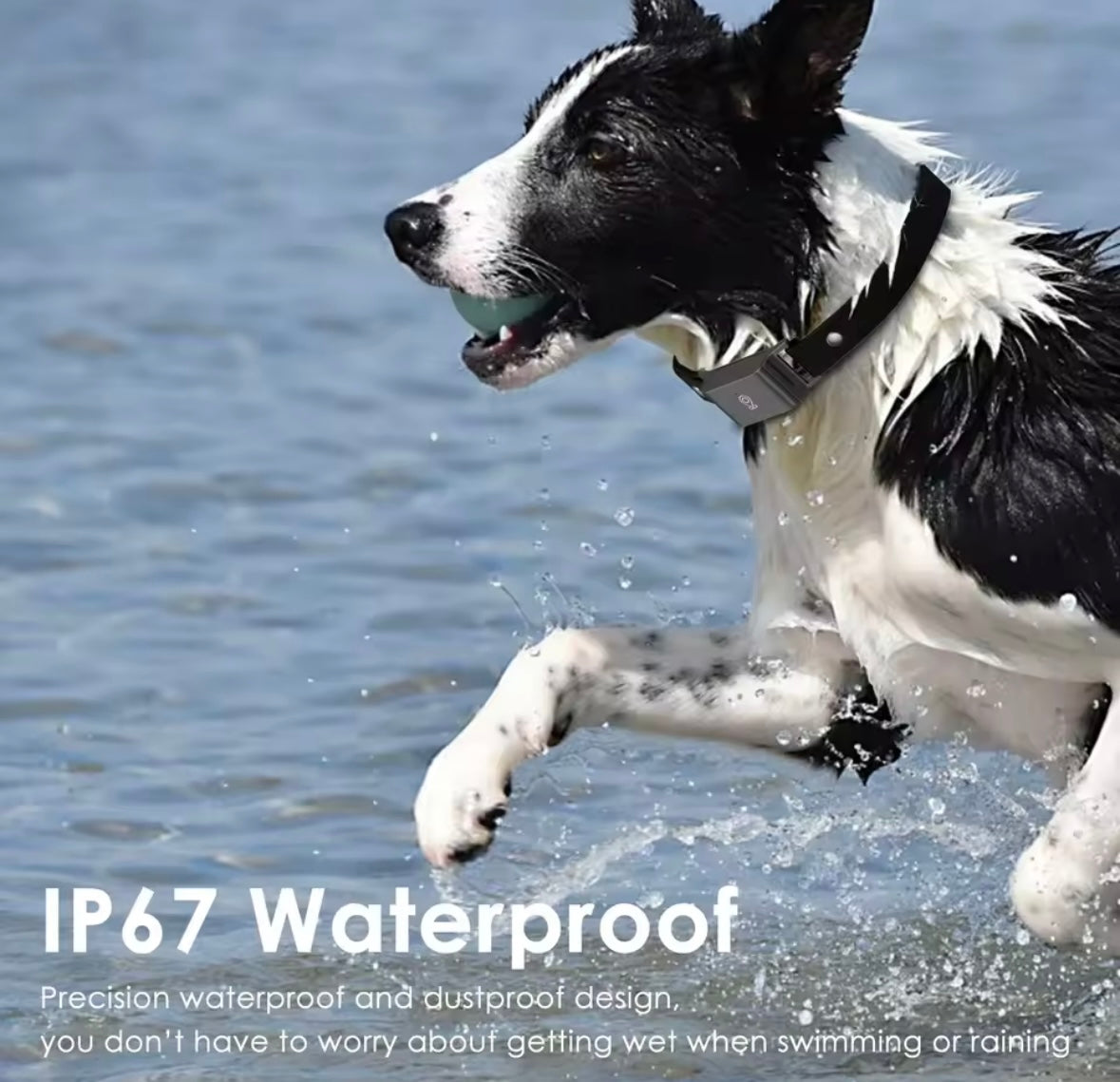 AquaTrack GPS Dog Collar