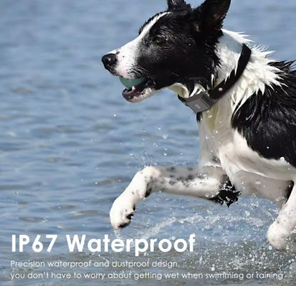 AquaTrack GPS Dog Collar