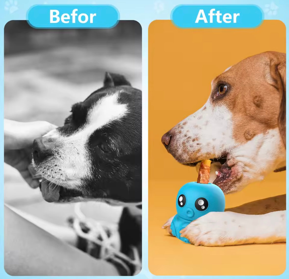 OctoChew Toy