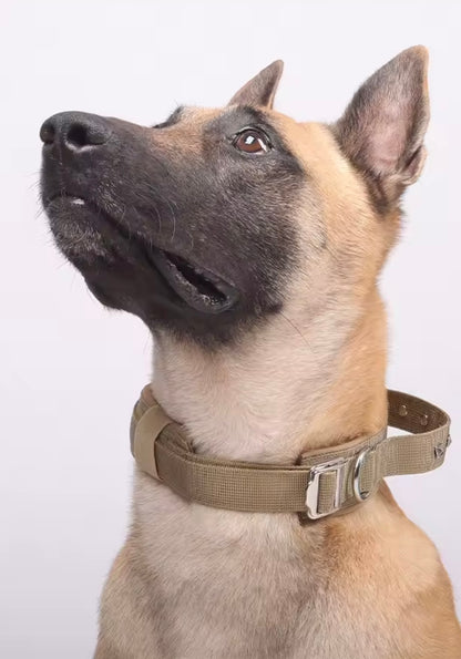 PawSpace Comfort Collar