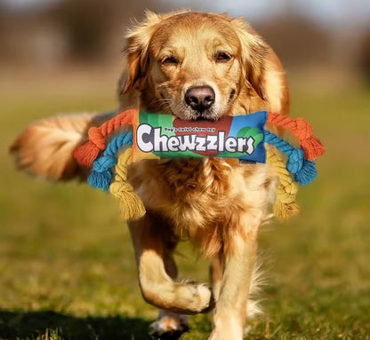 RainbowTwist Chew Toy